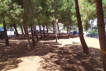 Parque Canino en Ronda