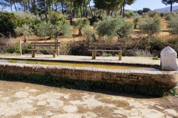 Pilar de Cartajima en Ronda