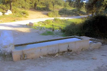 Pilar de Coca en Ronda